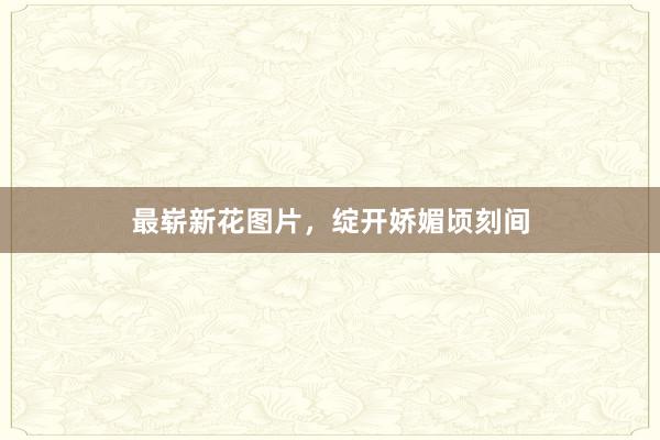 最崭新花图片，绽开娇媚顷刻间