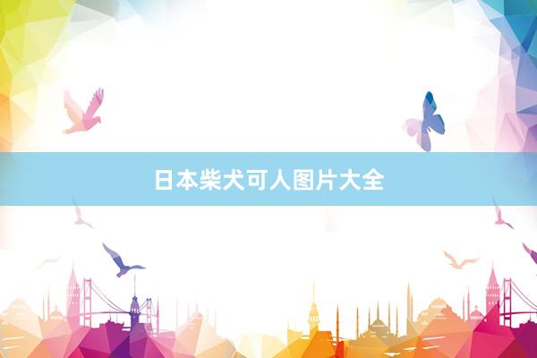 日本柴犬可人图片大全